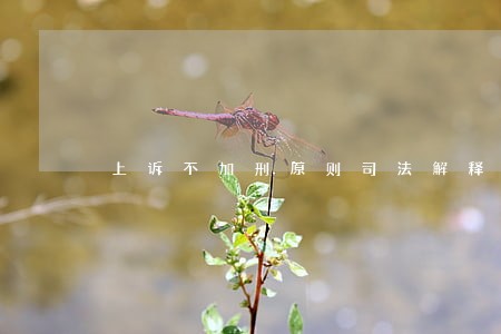 上诉不加刑原则司法解释 上诉不加刑原则司法解释
