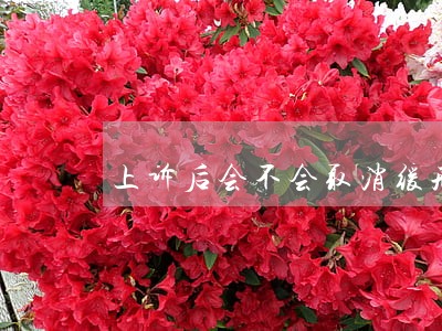 上诉后会不会取消缓刑 上诉后会不会取消缓刑