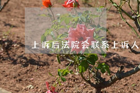 上诉后法院会联系上诉人吗 上诉后法院会联系上诉人吗