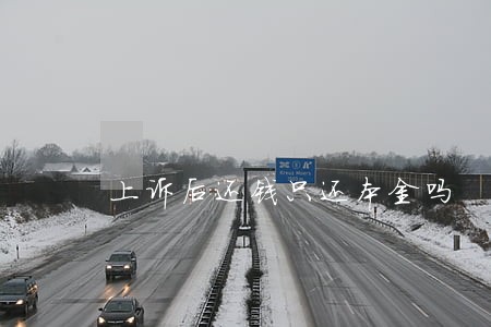 上诉后还钱只还本金吗 上诉后还钱只还本金吗