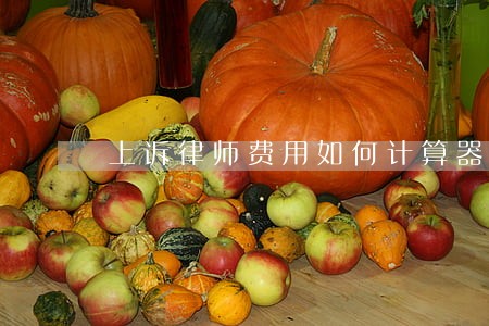 上诉律师费用如何计算器 上诉律师费用如何计算器