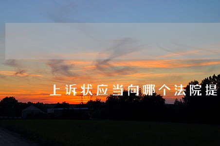 上诉状应当向哪个法院提起