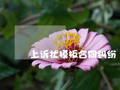 上诉状模板合同纠纷 上诉状模板合同纠纷