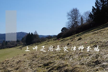 上诉还用再交律师费吗