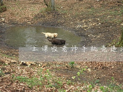 上课收老师手机壳违法