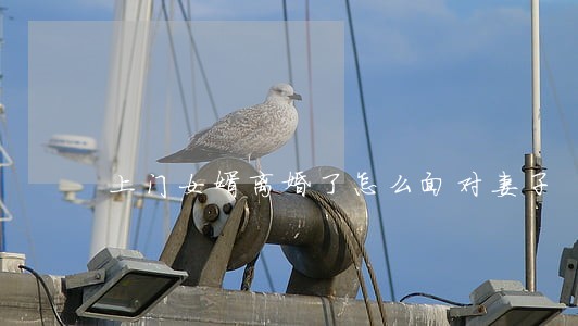 上门女婿离婚了怎么面对妻子 上门女婿离婚了怎么面对妻子
