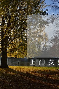 上门女婿离婚回娘家不让住 上门女婿离婚回娘家不让住