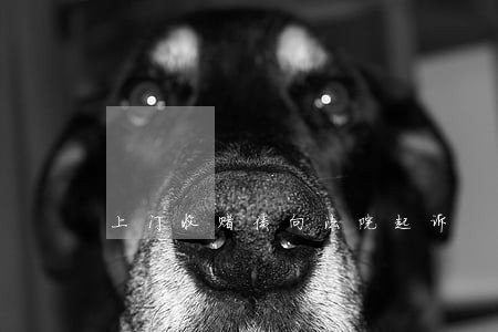 上门收赌债向法院起诉