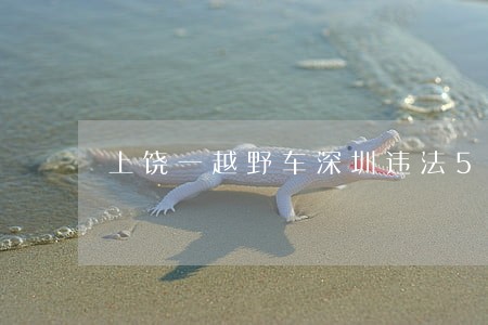 上饶一越野车深圳违法54次