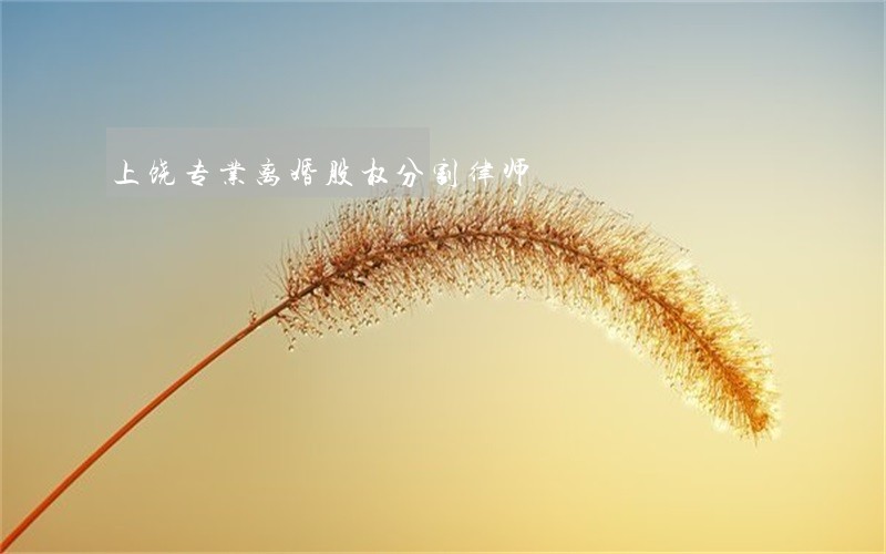 上饶专业离婚股权分割律师 上饶专业离婚股权分割律师