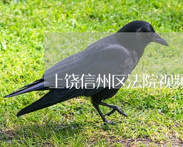 上饶信州区法院视频强制执行 上饶信州区法院视频强制执行