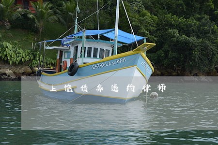 上饶债务违约律师 上饶债务违约律师