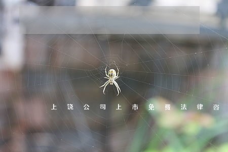 上饶公司上市免费法律咨询热线 上饶公司上市免费法律咨询热线