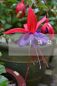 上饶公司法律顾问咨询热线 上饶公司法律顾问咨询热线
