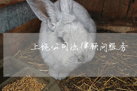 上饶公司法律顾问服务 上饶公司法律顾问服务