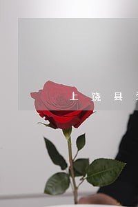 上饶县劳动用工合同纠纷律师 上饶县劳动用工合同纠纷律师
