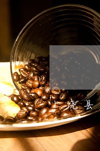 上饶县应家法院电话号码 上饶县应家法院电话号码