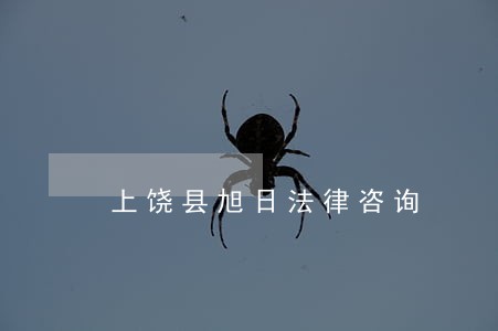 上饶县旭日法律咨询