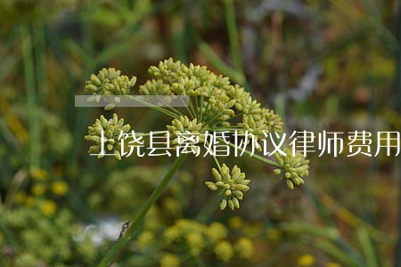 上饶县离婚协议律师费用多少 上饶县离婚协议律师费用多少