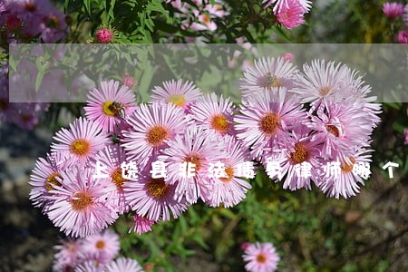 上饶县非法债务律师哪个好 上饶县非法债务律师哪个好