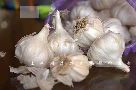 上饶周边企业律师推荐积极进取
