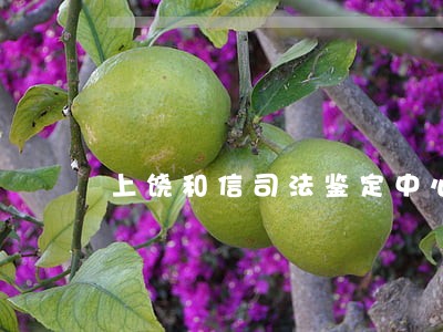 上饶和信司法鉴定中心怎么样 上饶和信司法鉴定中心怎么样