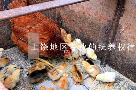 上饶地区专业的抚养权律师团队 上饶地区专业的抚养权律师团队
