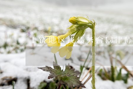 上饶地区找债务合同律师选谁 上饶地区找债务合同律师选谁