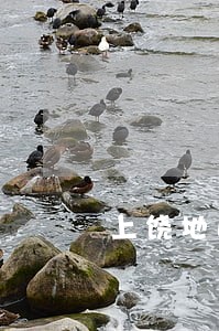 上饶地区抚养权律师推荐可靠诚信 上饶地区抚养权律师推荐可靠诚信