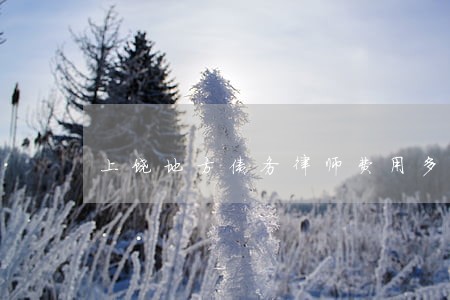上饶地方债务律师费用多少 上饶地方债务律师费用多少