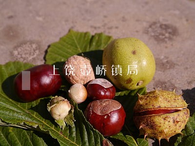 上饶壶峤镇局 上饶壶峤镇局