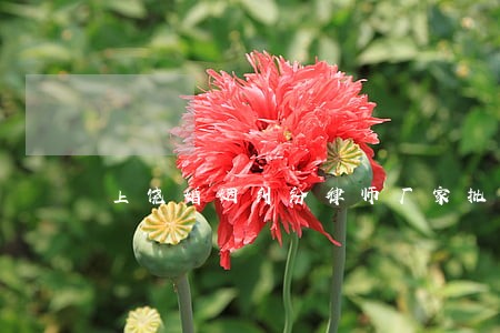 上饶婚姻纠纷律师厂家批发价格 上饶婚姻纠纷律师厂家批发价格