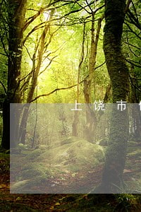 上饶市债务合同律师推荐 上饶市债务合同律师推荐