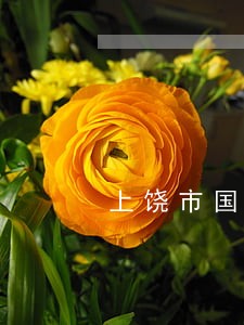 上饶市国土局法规处 上饶市国土局法规处