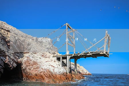 上饶市局法律顾问 上饶市局法律顾问