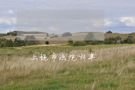 上饶市法院刘丰