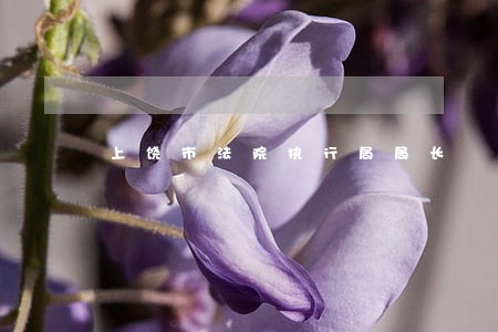上饶市法院执行局局长