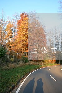 上饶市违章建筑相关法规 上饶市违章建筑相关法规