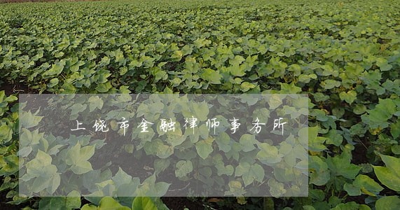 上饶市金融律师事务所 上饶市金融律师事务所