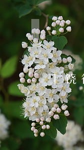 上饶律师寻找案源 上饶律师寻找案源