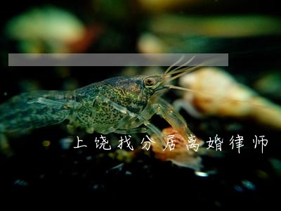 上饶找分居离婚律师 上饶找分居离婚律师