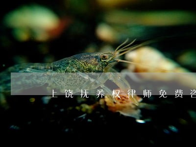 上饶抚养权律师免费咨询微信咨询 上饶抚养权律师免费咨询微信咨询
