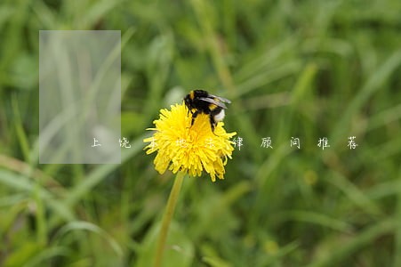 上饶本地法律顾问推荐 上饶本地法律顾问推荐