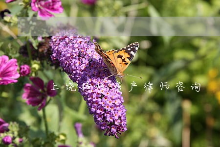 上饶横峰房产律师咨询 上饶横峰房产律师咨询
