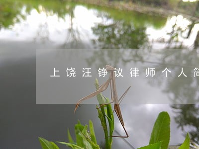 上饶汪铮议律师个人简介 上饶汪铮议律师个人简介