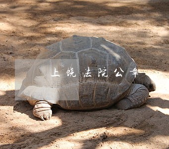 上饶法院公章 上饶法院公章