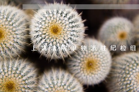 上饶法院单独派驻纪检组 上饶法院单独派驻纪检组