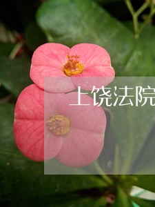 上饶法院发布悬赏令 上饶法院发布悬赏令