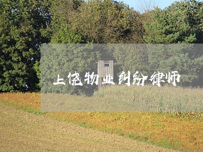 上饶物业纠纷律师