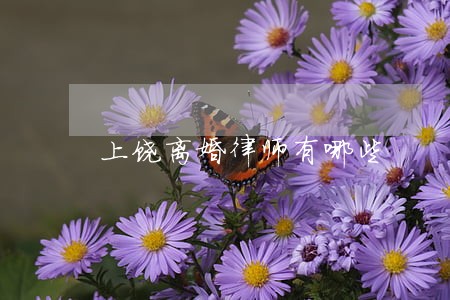 上饶离婚律师有哪些 上饶离婚律师有哪些